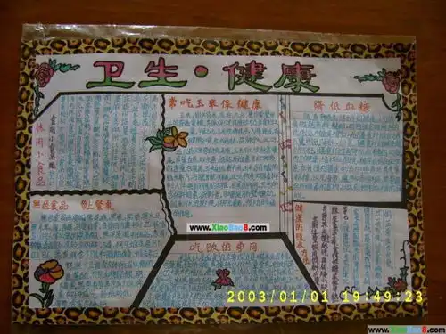 关于卫生的手抄报
