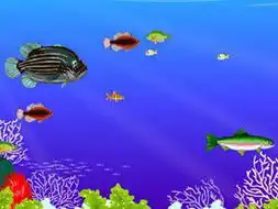 海底总动员