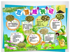 黄豆芽生长过程日记小报植物观察日记手抄报图片素材psd模板下载41.09mb爱护动植物手抄报大全环保手抄报