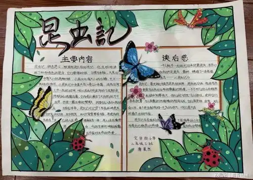 通川区文华街小学校举办文学节系列活动晒阅读手抄报