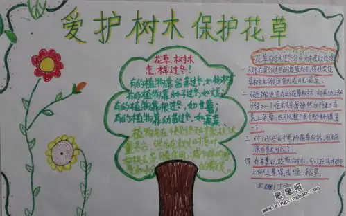 爱护树木保护花草手抄报图片内容