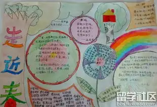 关于春天的手抄报资料