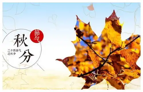 秋分节气的特征秋分的气候有哪些特点多特软件资讯