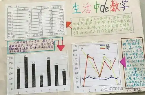 多彩生活,多彩数学2018年海口市第二十五小学五年级暑假综合实践作业展播