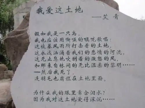 我爱这土地诗歌是按怎样的思路抒写的