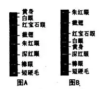 44.果蝇是进行遗传学研究的常用实验材料.请分析回答下列问题1科学家摩尔根用纯种灰身残翅果蝇与纯种黑身长翅果蝇交配.所得子代f1全部为灰身长翅果蝇.请你运用一种最简便的方法来判断果蝇灰身