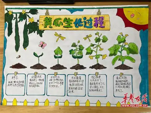汝城县泉水镇中心小学以劳树美德以动促成长
