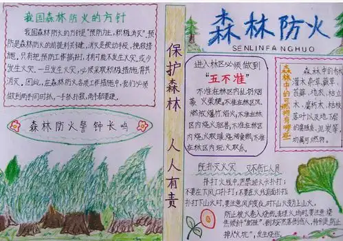 森林防火手抄报森林防火手抄报资料