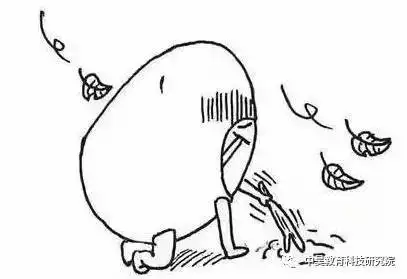 多读书竟然有这样的好处新语文教材来得真是恰逢其时