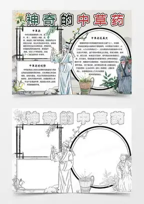 中小学生神奇的中草药小报word模板下载熊猫办公