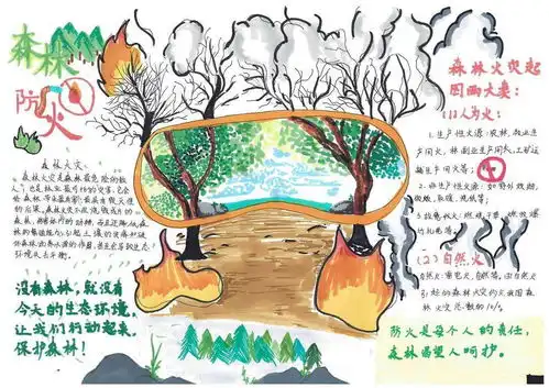 护林防火记心间,森林防火进校园