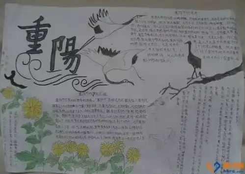 重阳节手抄报来了
