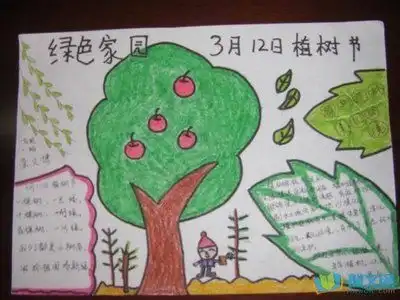 植树节手抄报