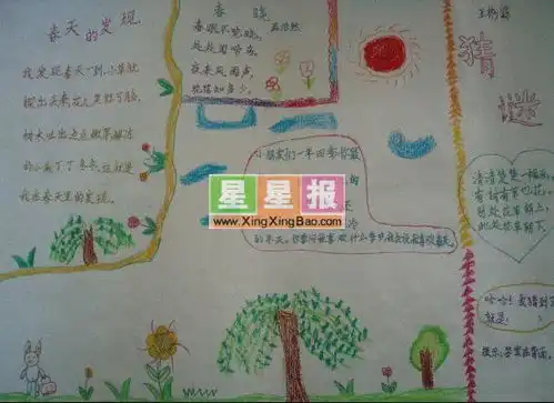 春天的发现小报图片