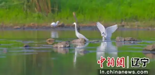 透过一张张大片儿感受沈阳经开区的非凡西引力