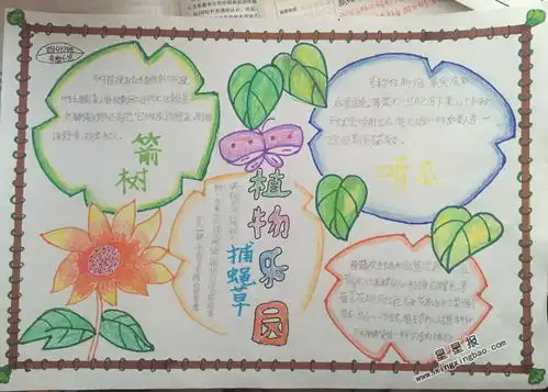 植物乐园手抄报资料