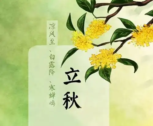 立秋三伏,养生进行时