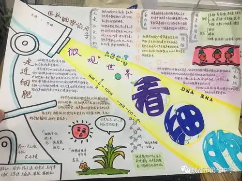 见细胞之微,望生命之美成都七中高一年级生物细胞模型制作作品展