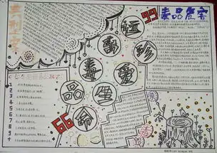 小学生禁毒手抄报图