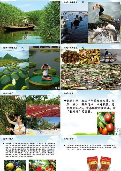 家乡介绍我的家乡河北沧州共41页ppt模板下载编号lkanyjwl熊猫办公
