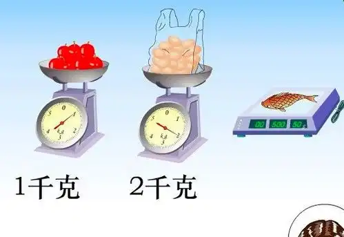 如果说公斤的单位是kg那么斤的单位是什么呢