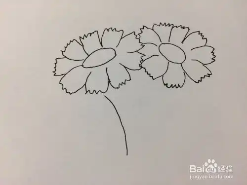 重阳节手抄报菊花的画法