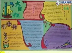 美术五年级下冀美版3设计手抄报课件27张
