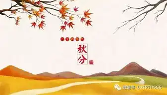 今日秋分秋风清,秋月明,一点一滴情