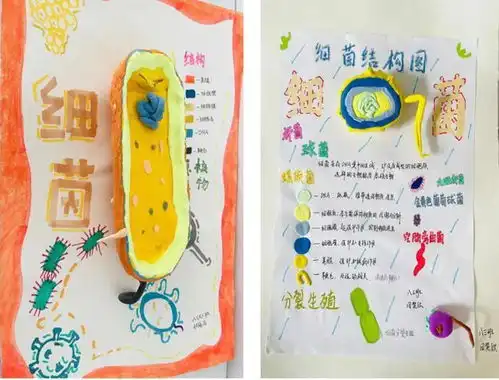 以细胞之微展生命之美蚌埠博雅培文实验学校初中部生物学科实践活动