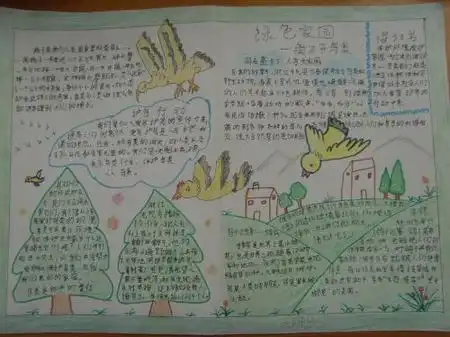 八年级鸟专题的手抄报怎么做