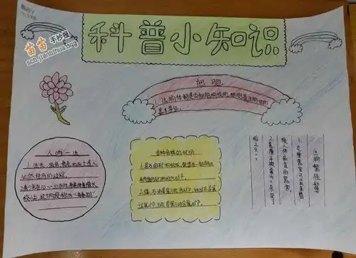 科普知识手抄报图片大全内容