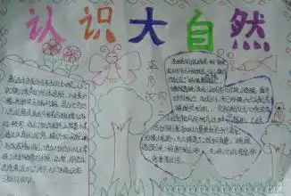 观察春天的大自然手抄报四年级第三单园