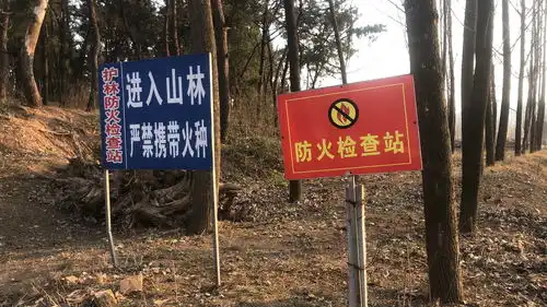 青驼镇森林防火防字当先