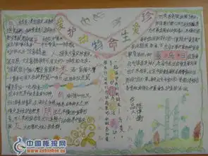 关于关爱动物的手抄报