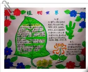 北京小学四年级关于树木手抄报
