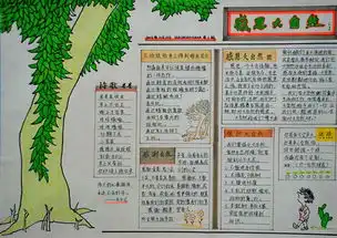走进大自然手抄报的图片