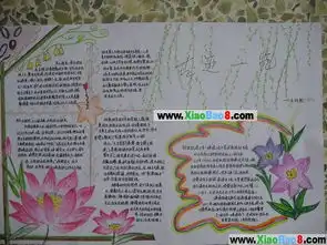 优秀手抄报版面设计
