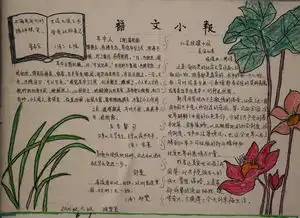 读写融通手抄报比赛第二届校园读书节系列报道二