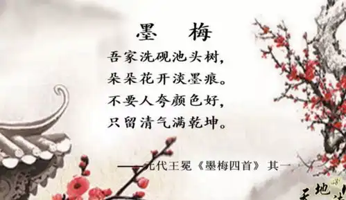 视频天地诗心第十二集墨梅