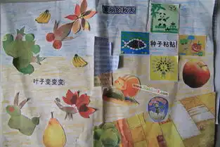 美丽的秋天手抄报图片大全