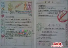 2019最新5.31世界无烟日手抄报图片大全,无烟日手抄报内容苗苗板报网