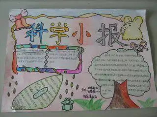 四年级下册科学手抄报内容少点儿的
