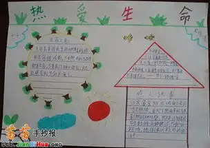小学生热爱生命手抄报
