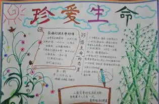 关于生命的手抄报资料内容