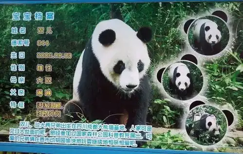 下周就可以使用