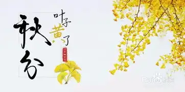 二十四节气之秋分