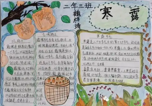 春华秋实书韵春华传统文化系列十七霜降赏菊霜降节气文化实践活动作品展二年级三班