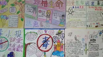 禁毒教育进校园增强学生防毒能力