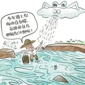 梅雨是场什么雨