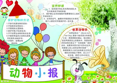 动物手抄报
